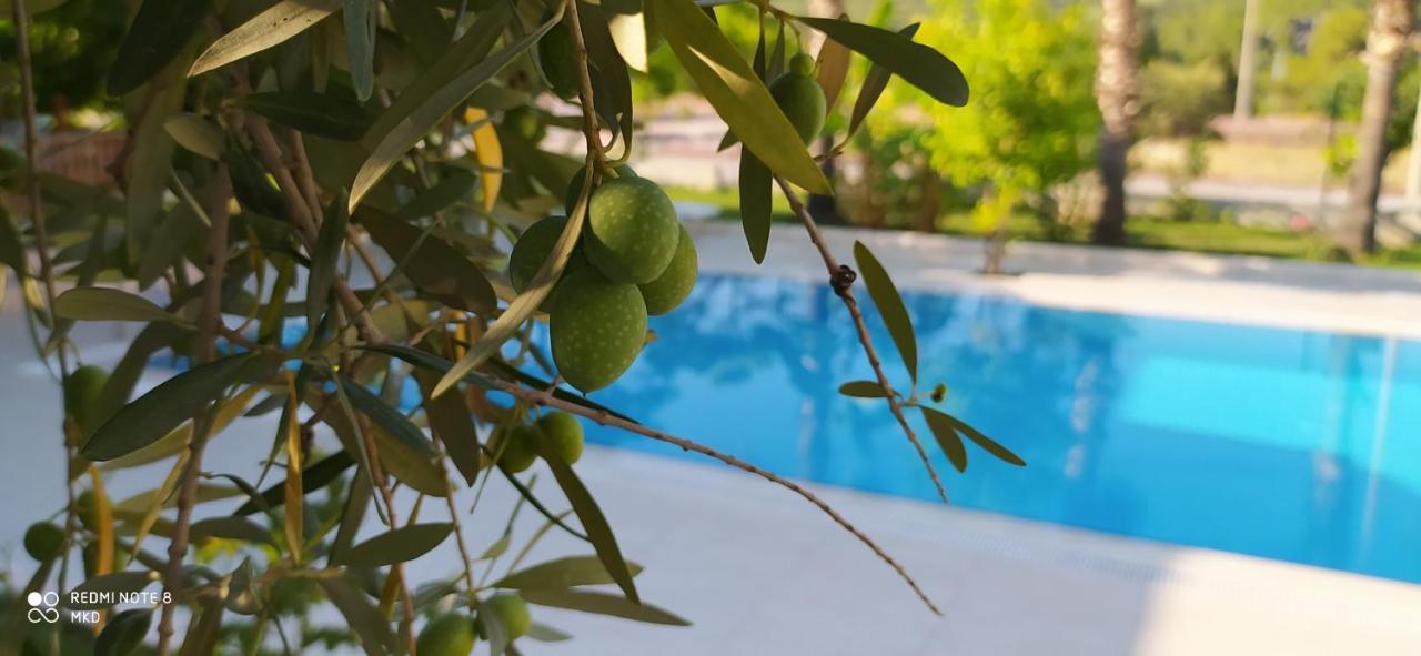 Green Garden Otel Кемер Екстериор снимка