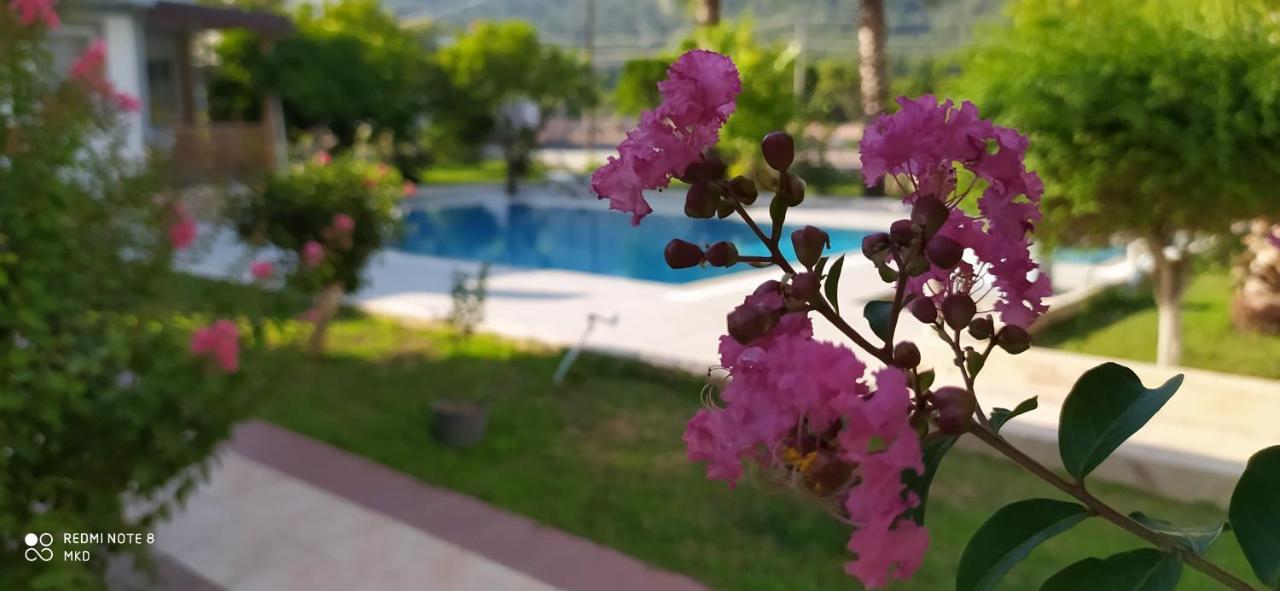 Green Garden Otel Кемер Екстериор снимка