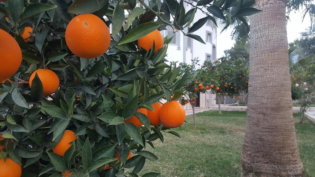 Green Garden Otel Кемер Екстериор снимка
